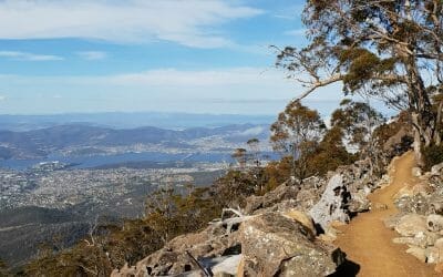 The 5 best walks on kunanyi / Mount Wellington