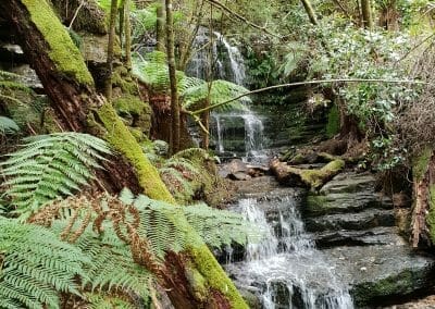 walk, kunanyi, hobart, tasmania, tour, waterfall