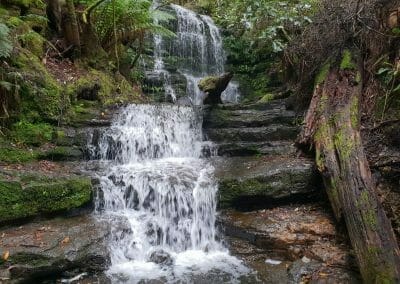 Myrtle Gully Falls, best 5 walks on mt wellington, hiking, hobart, tasmania.